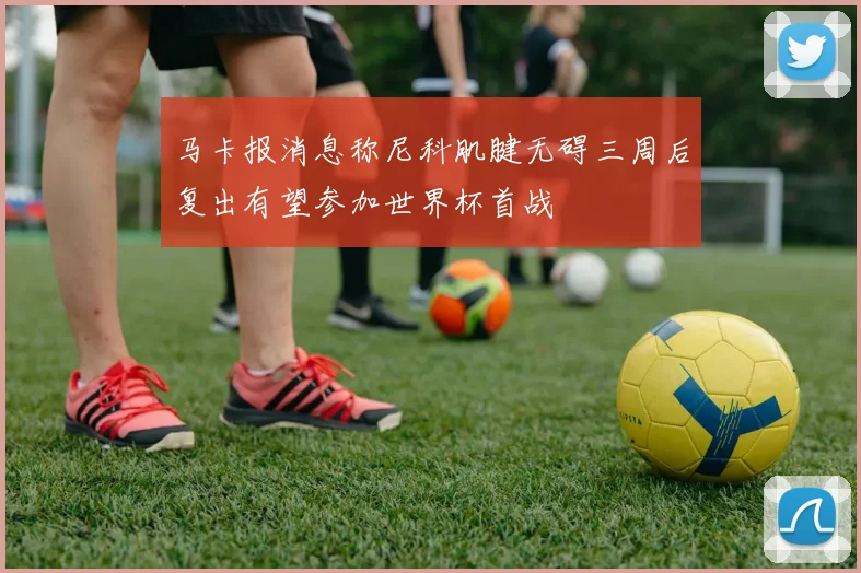 马卡报消息称尼科肌腱无碍三周后复出有望参加世界杯首战