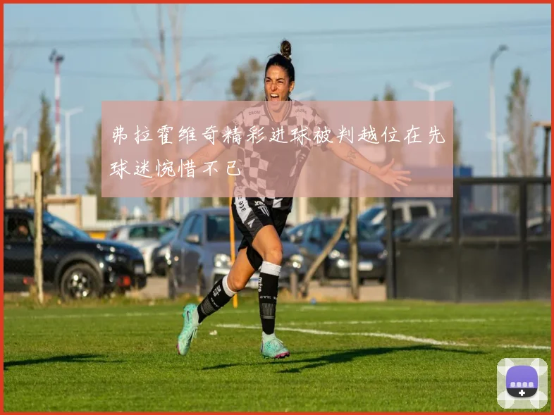 弗拉霍维奇精彩进球被判越位在先球迷惋惜不已